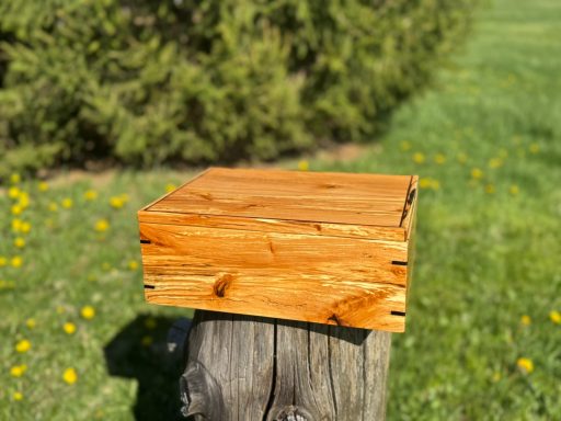 Spalted River Birch Jewelry Box
